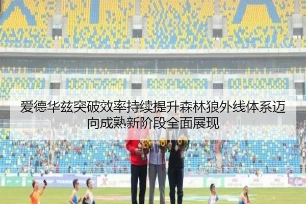 爱德华兹突破效率持续提升森林狼外线体系迈向成熟新阶段全面展现